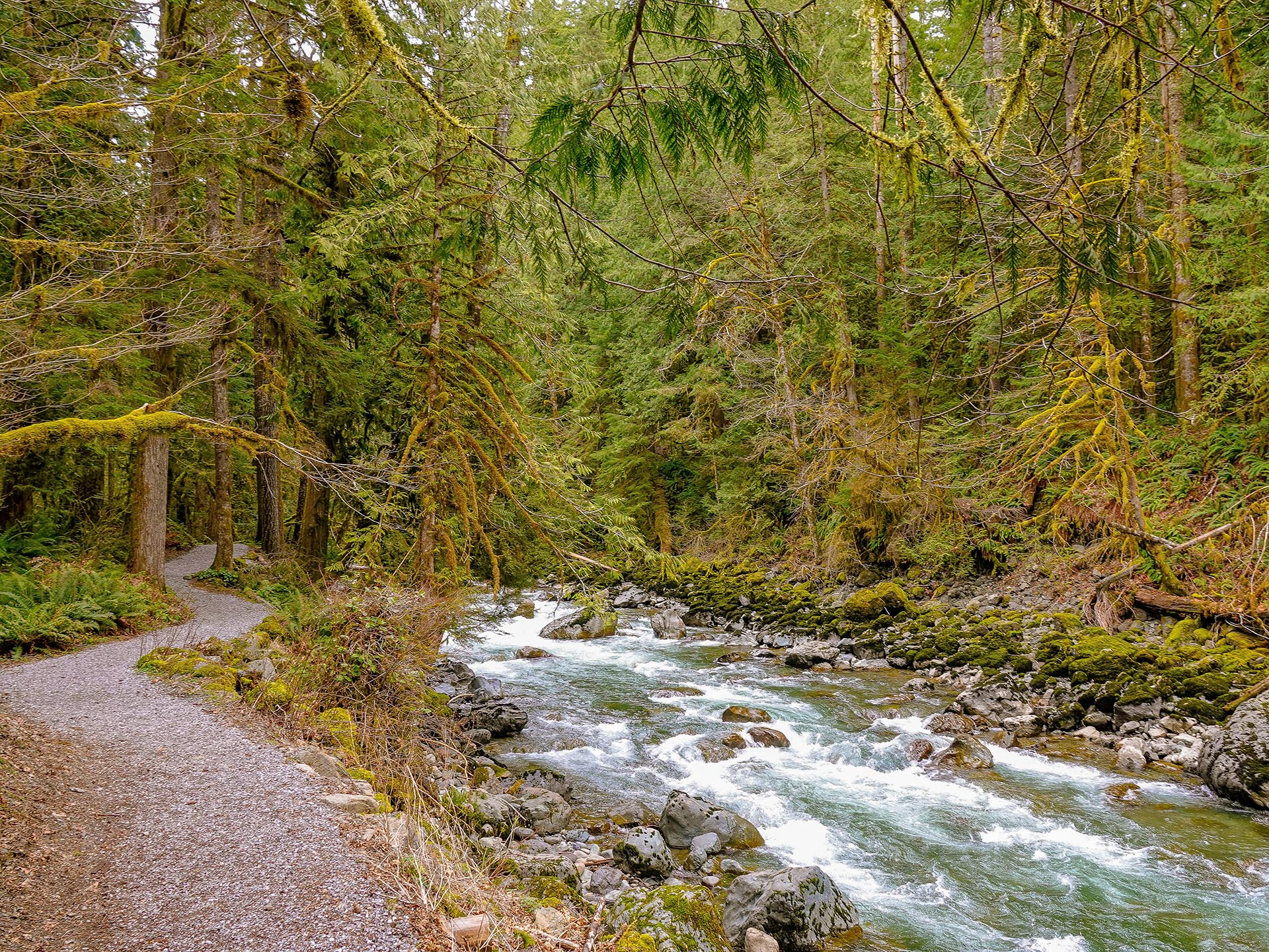 natural mountain water features washington granite creek trail