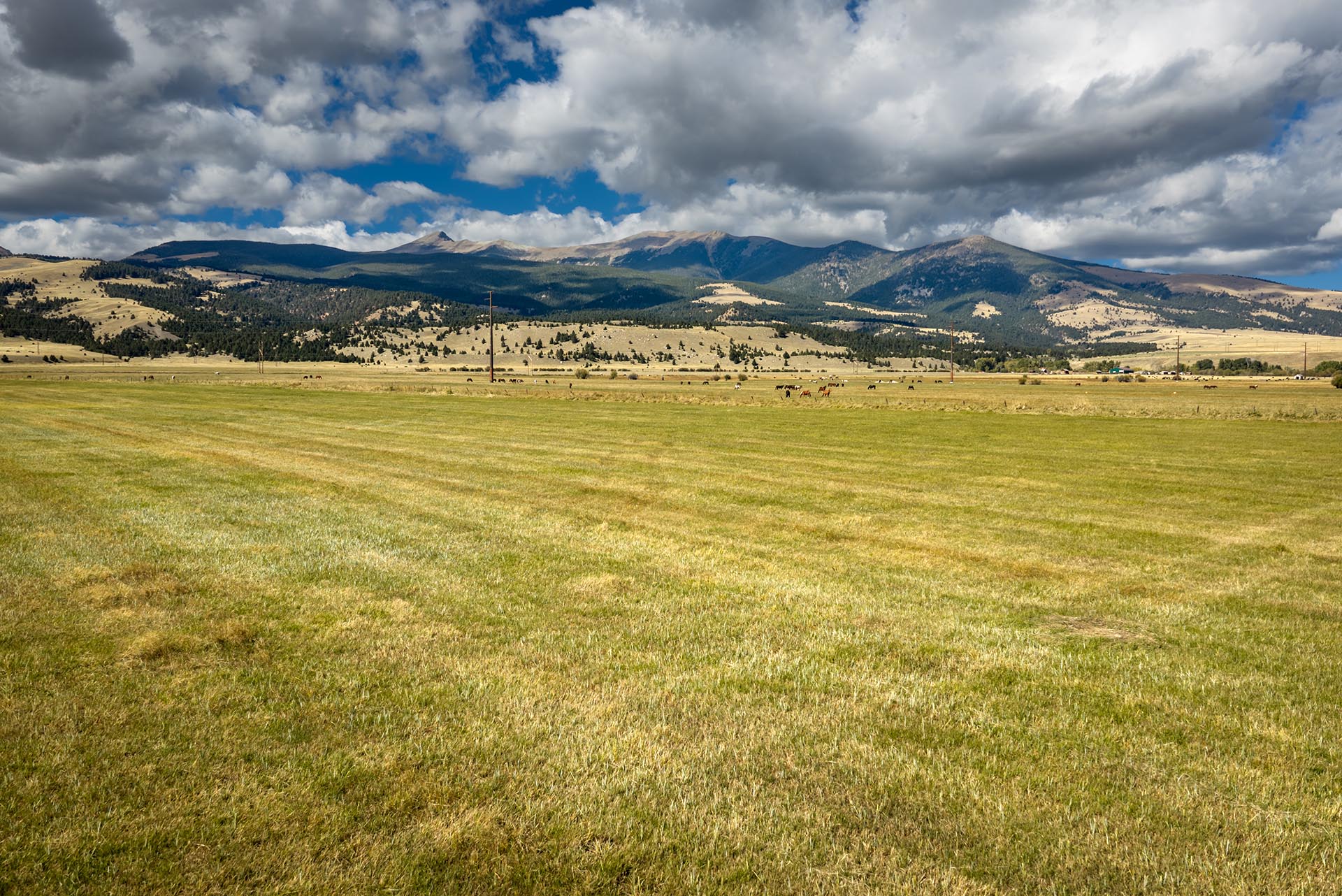 open pasture land montana dempsey lakes cattle ranch