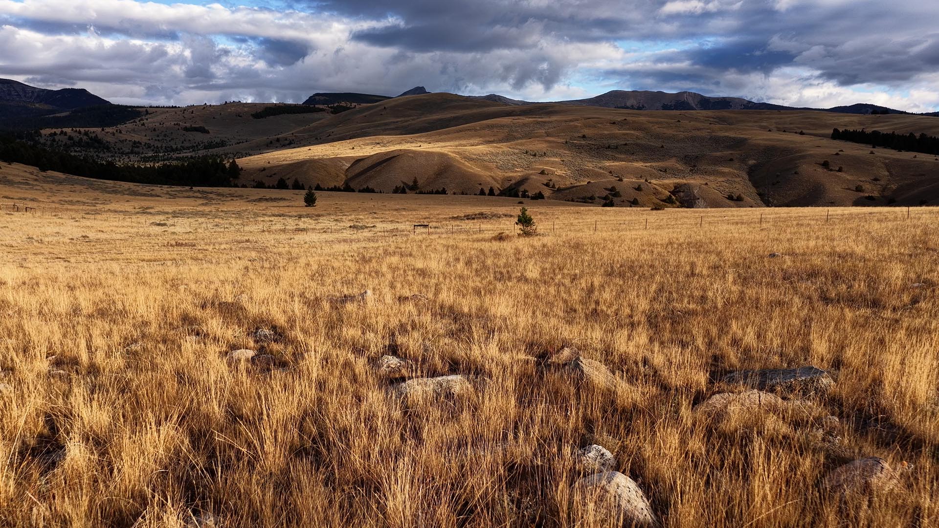 open range land for sale montana dempsey lakes cattle ranch