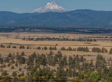 oregon cattle grazing land for sale near maupin mt hood horizon ranch