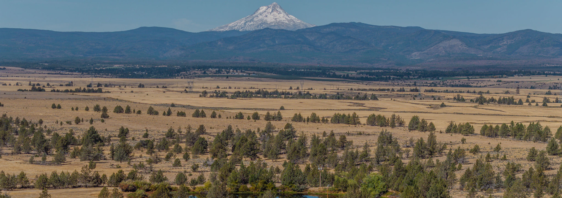 oregon cattle grazing land for sale near maupin mt hood horizon ranch