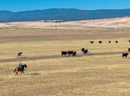 oregon land for sale north powder farm