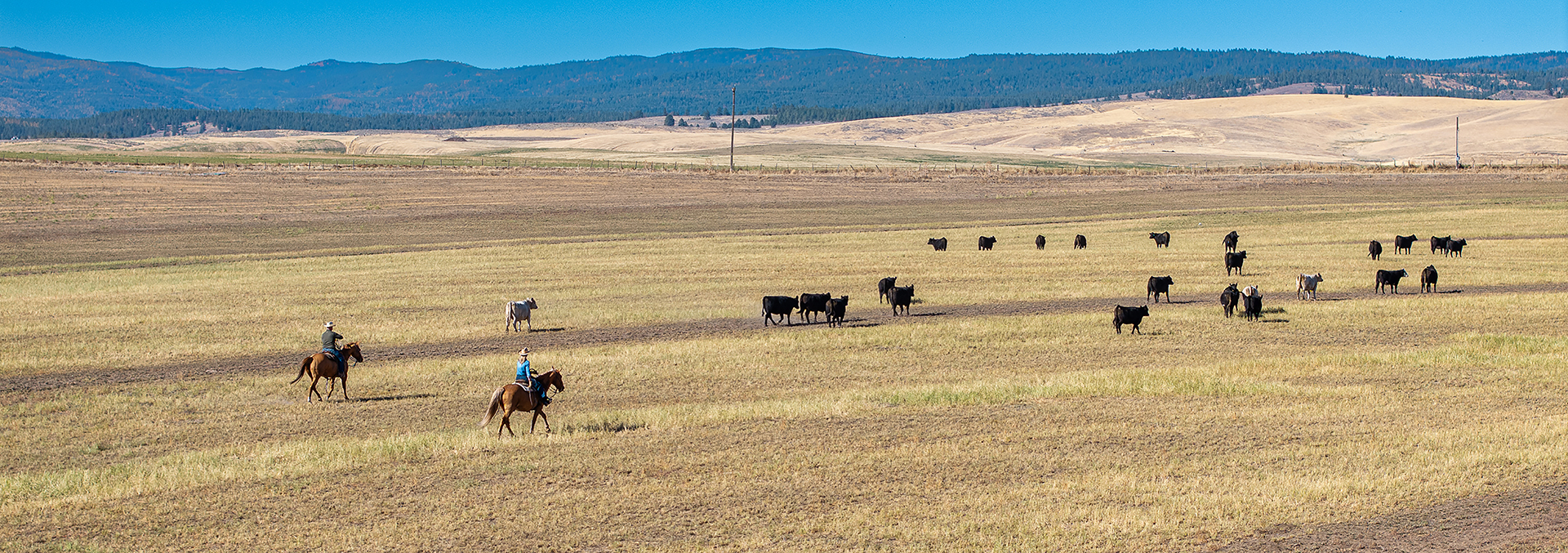 oregon land for sale north powder farm
