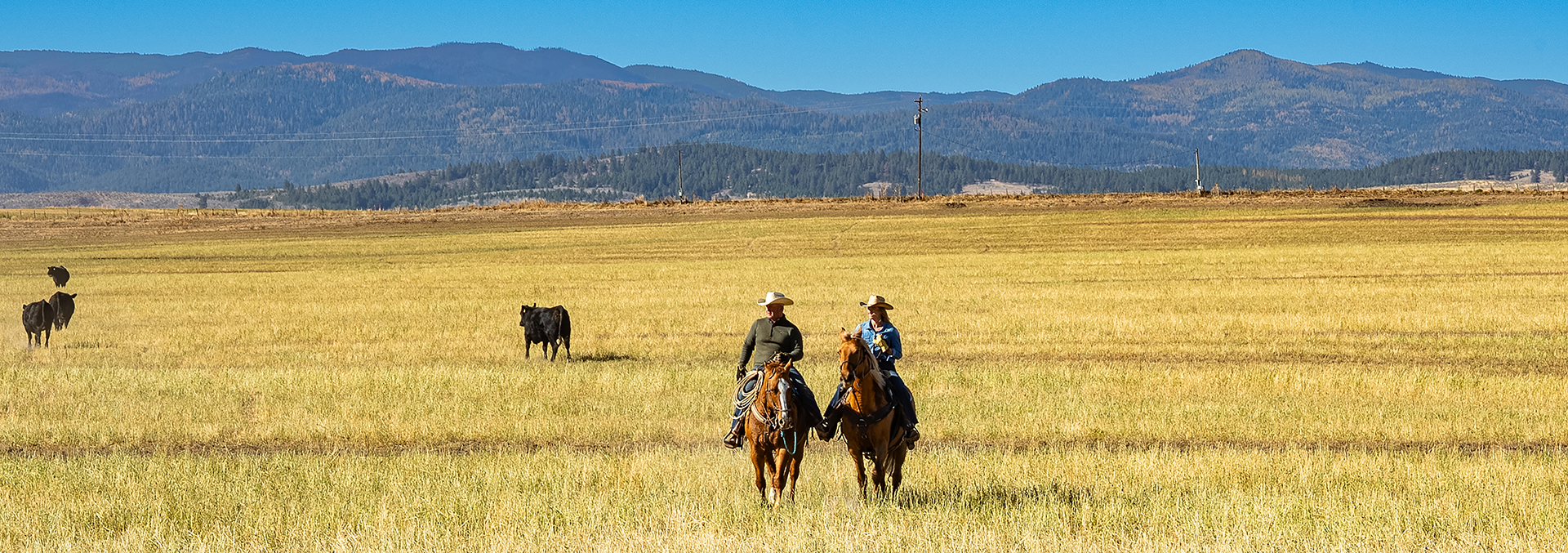 oregon ranch for sale north powder farm