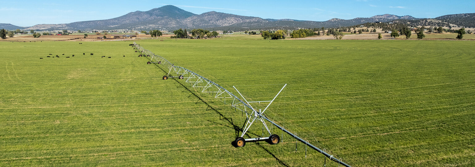 Oregon Ranching North Ochoco Valley Hay & Cattle | Prineville Oregon | Fay Ranches
