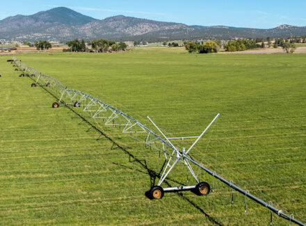 oregon ranches for sale north choco valley hay and cattle