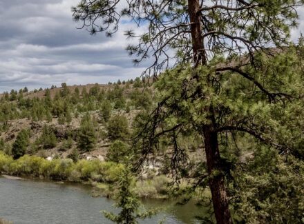 oregon ranches for sale running spur hunting ranch