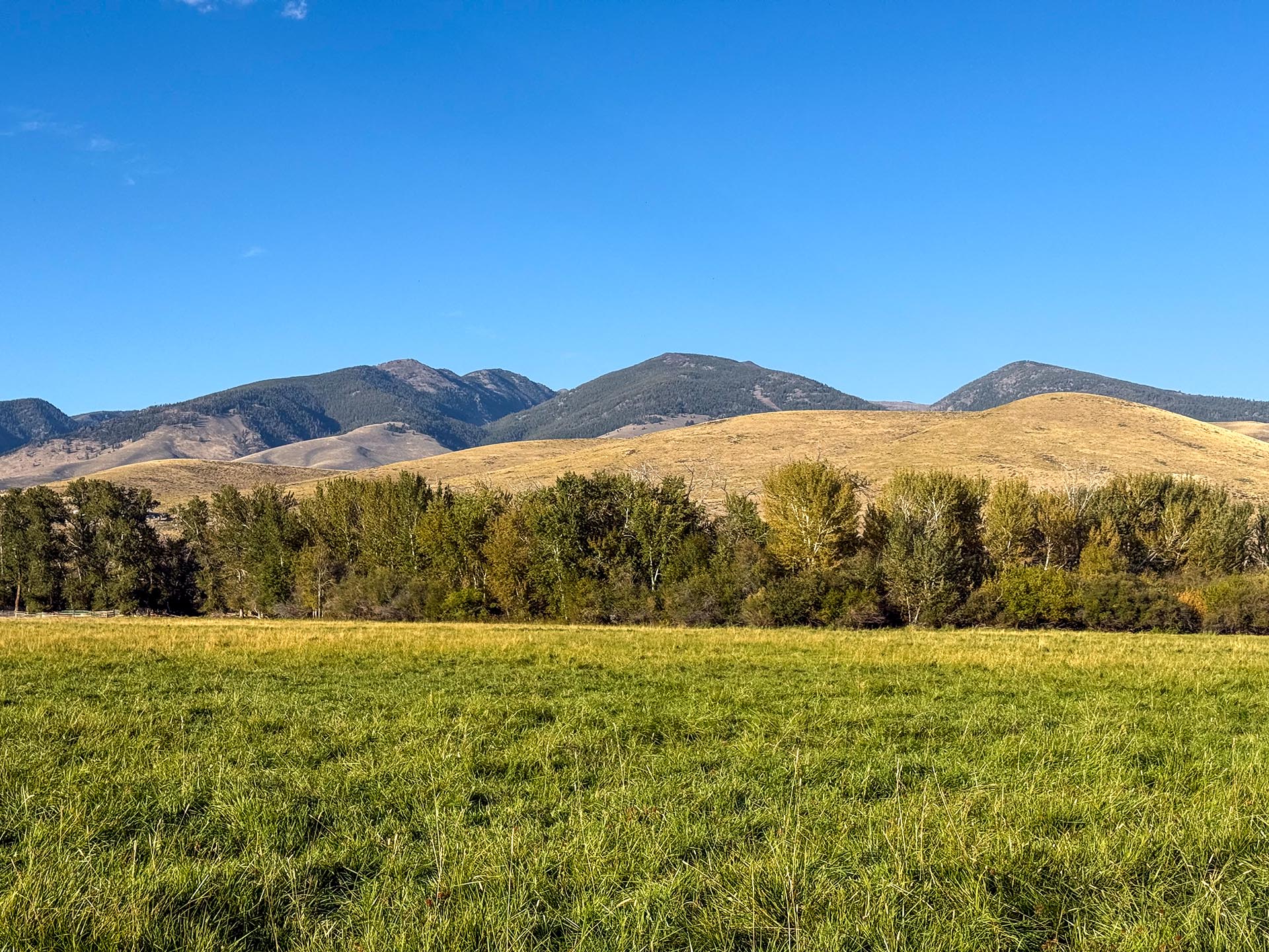 pasture idaho jackson corner ranch