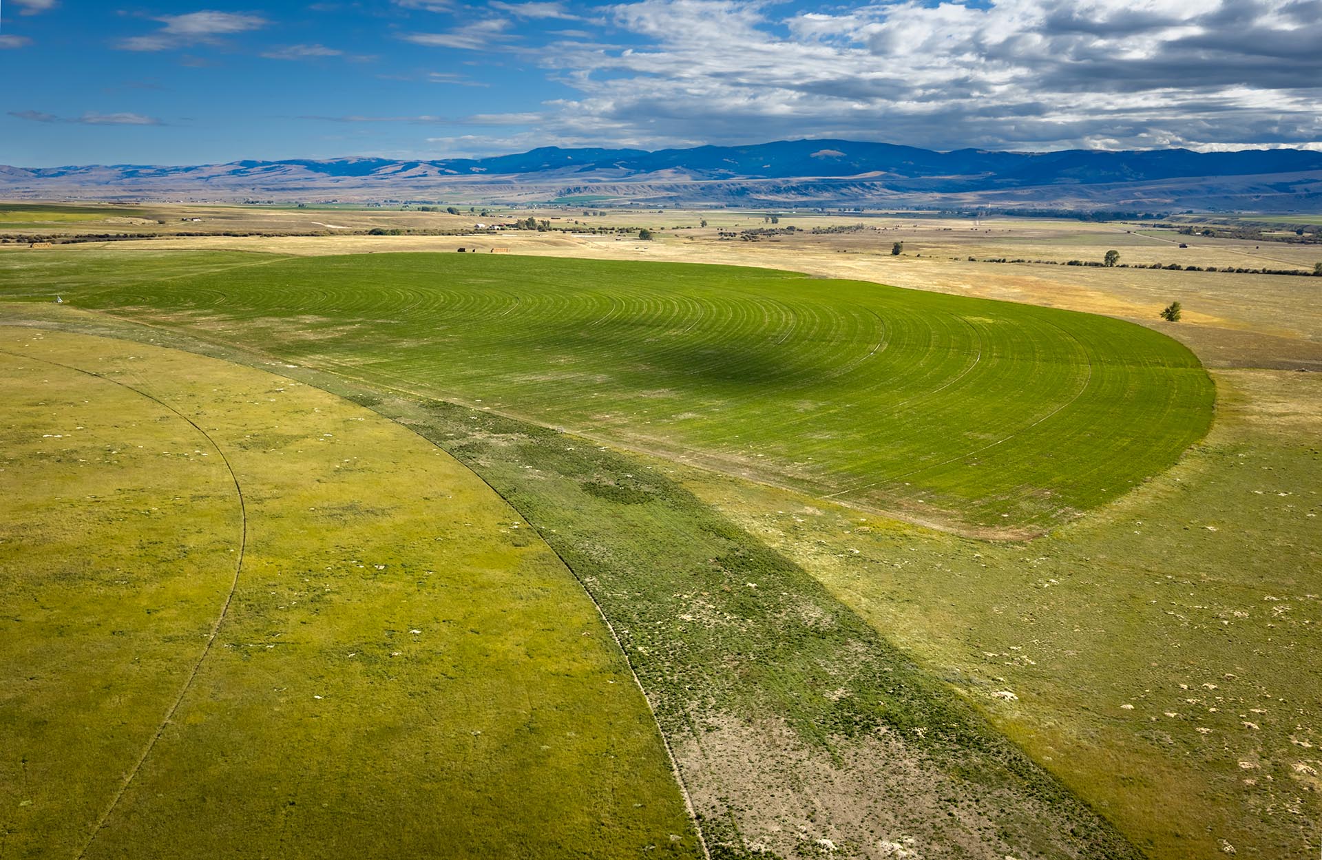 pivot irrigated farm land montana dempsey lakes cattle ranch