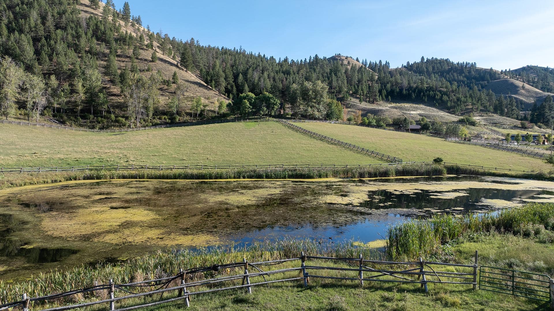 pond and pastures idaho north fork meadows