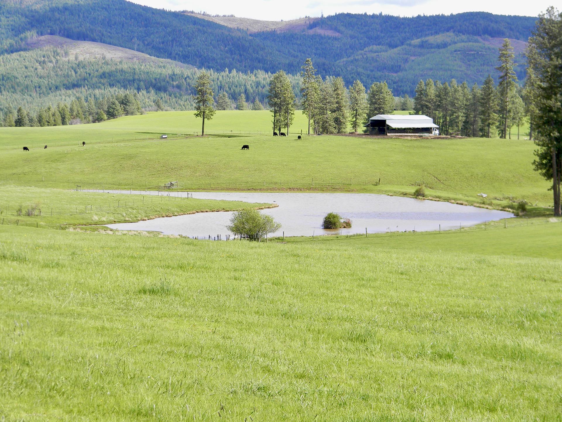 pond idaho park ranch