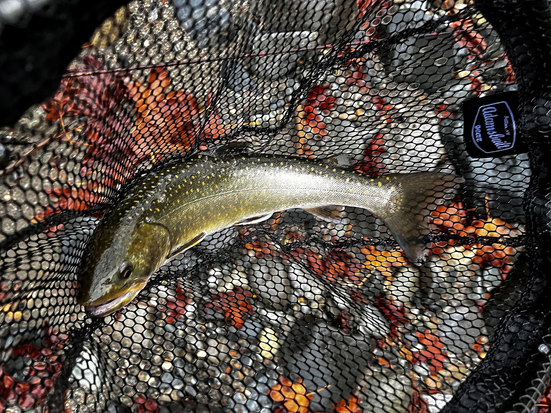 private fishing lodge cascade mountains washington sky river lodge