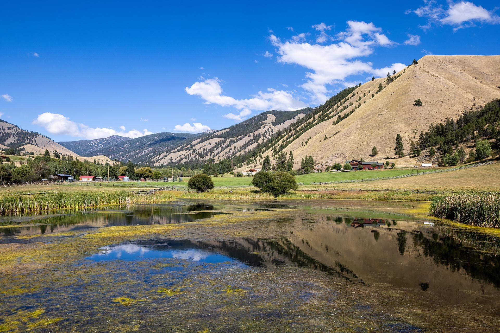 private pond idaho north fork meadows