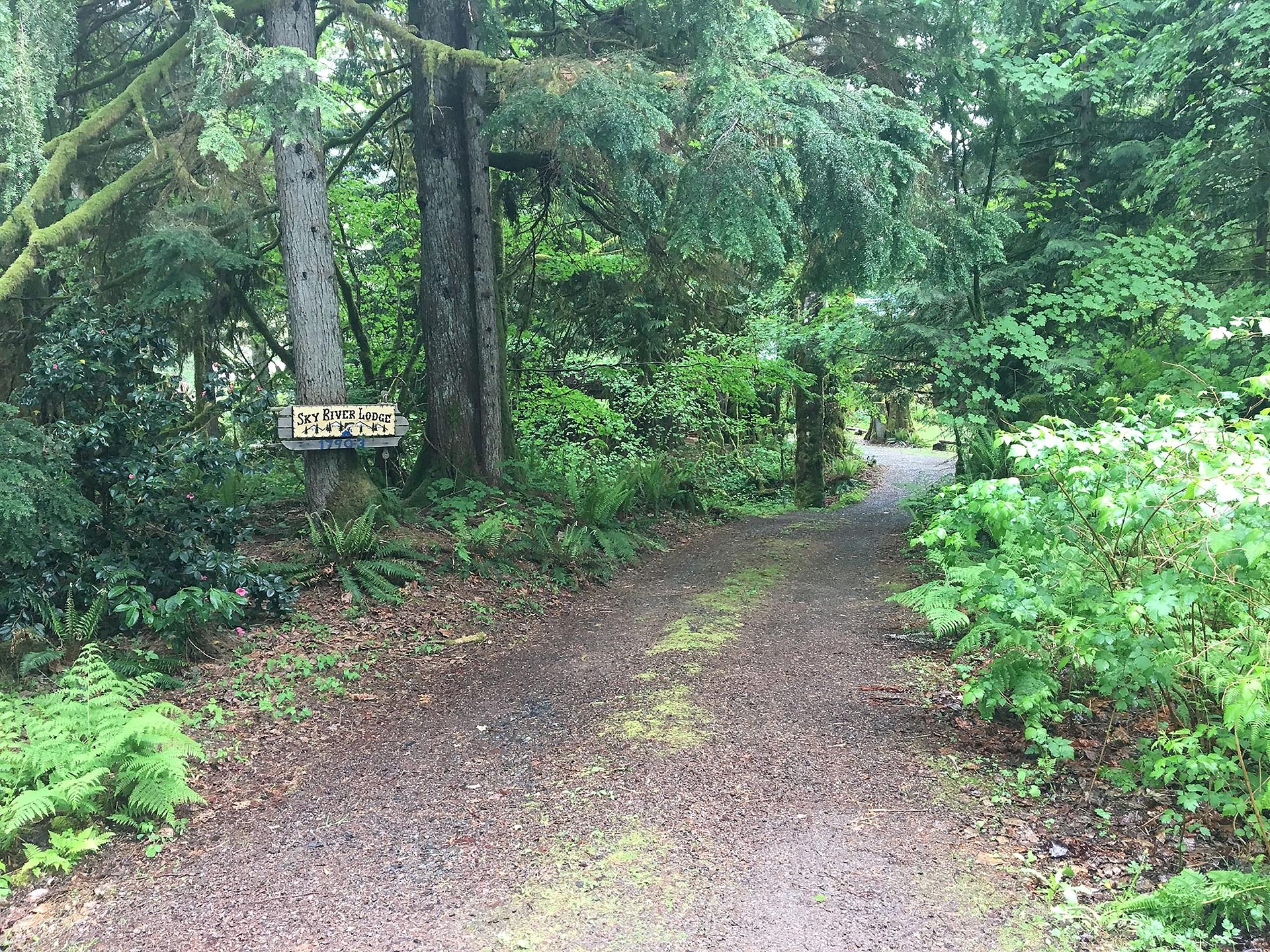 private wooded riverfront retreat baring washington sky river lodge