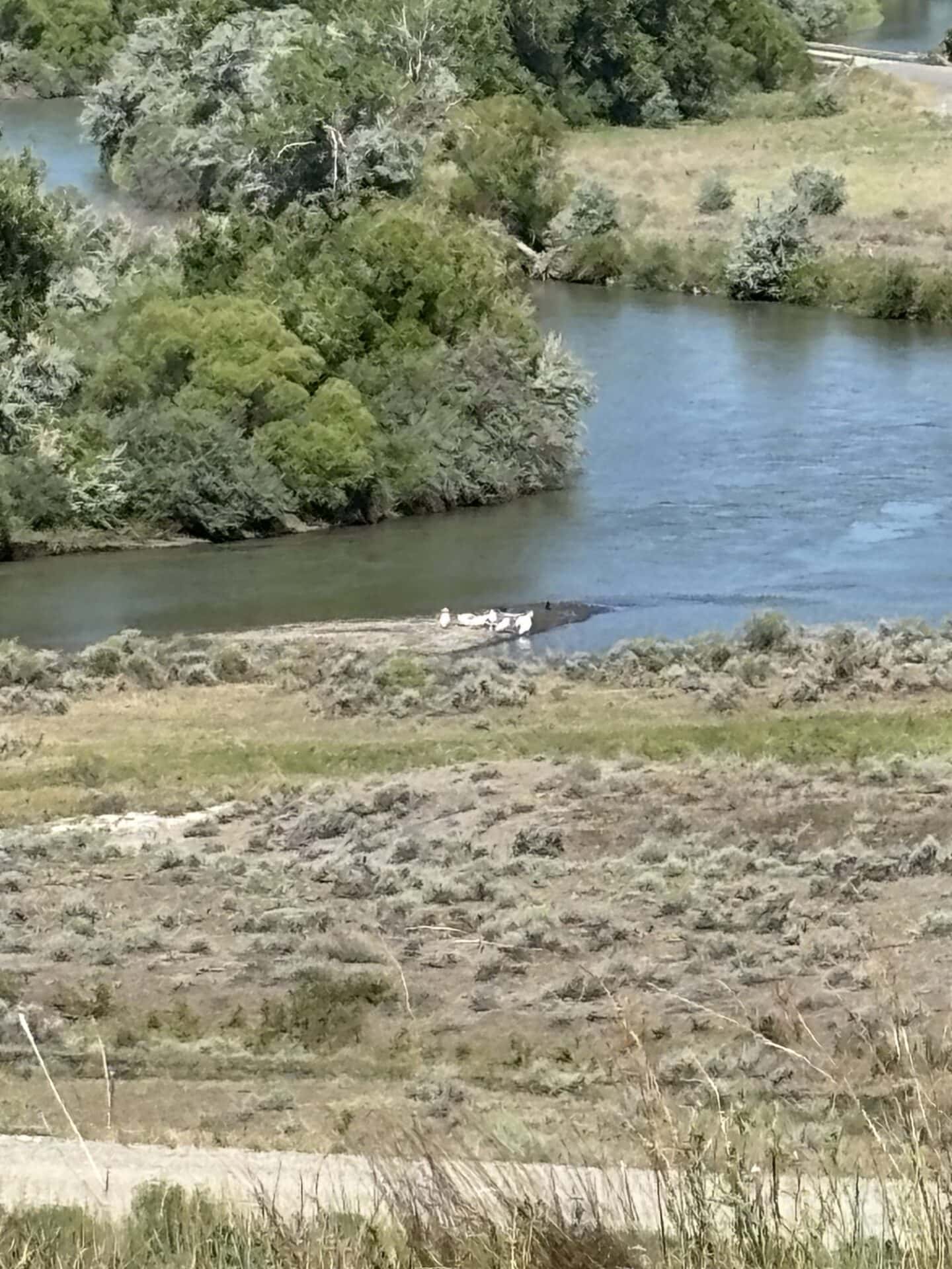 property with river views Montana Clarks Fork of the Yellowstone Overlook