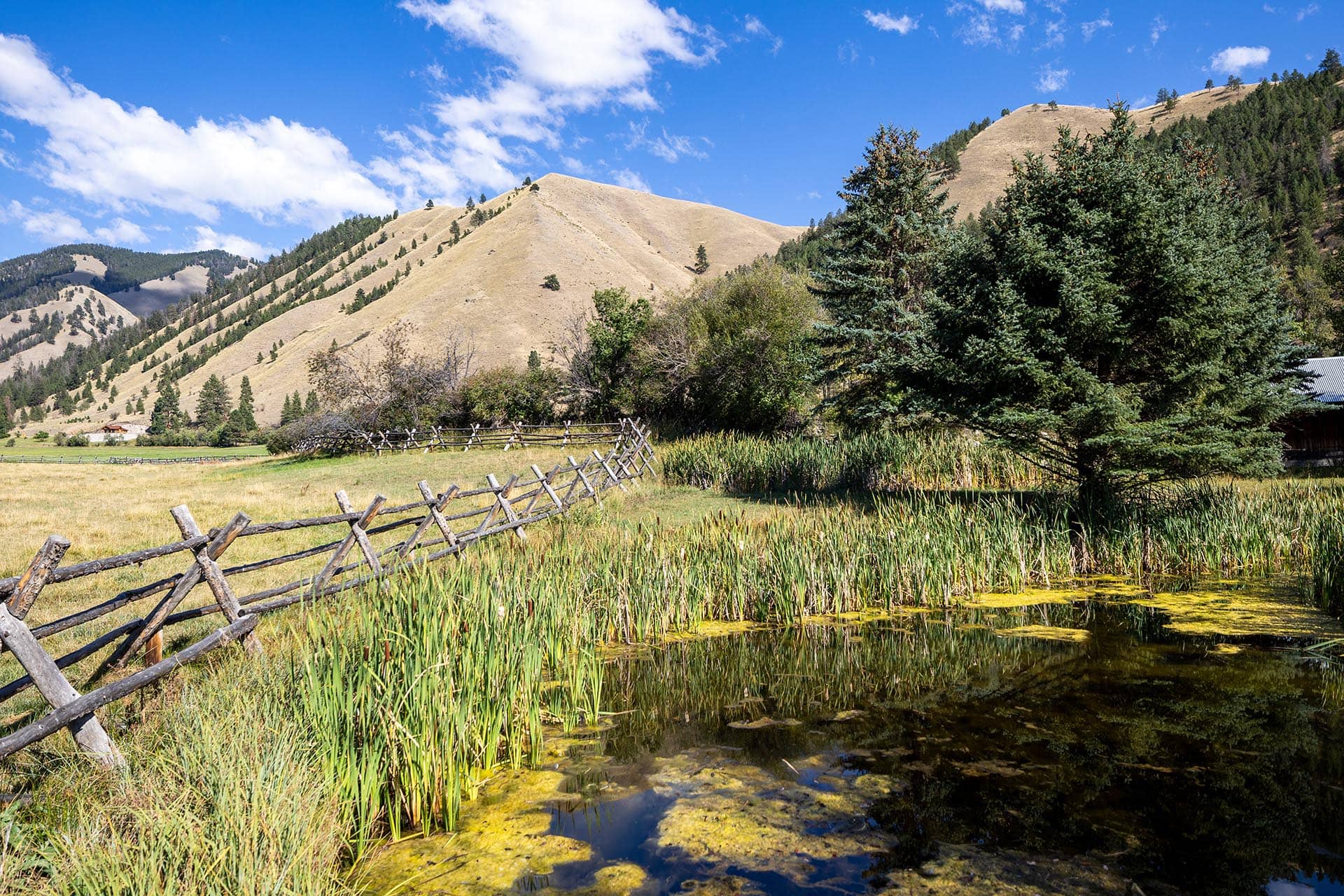 ranch pond idaho north fork meadows