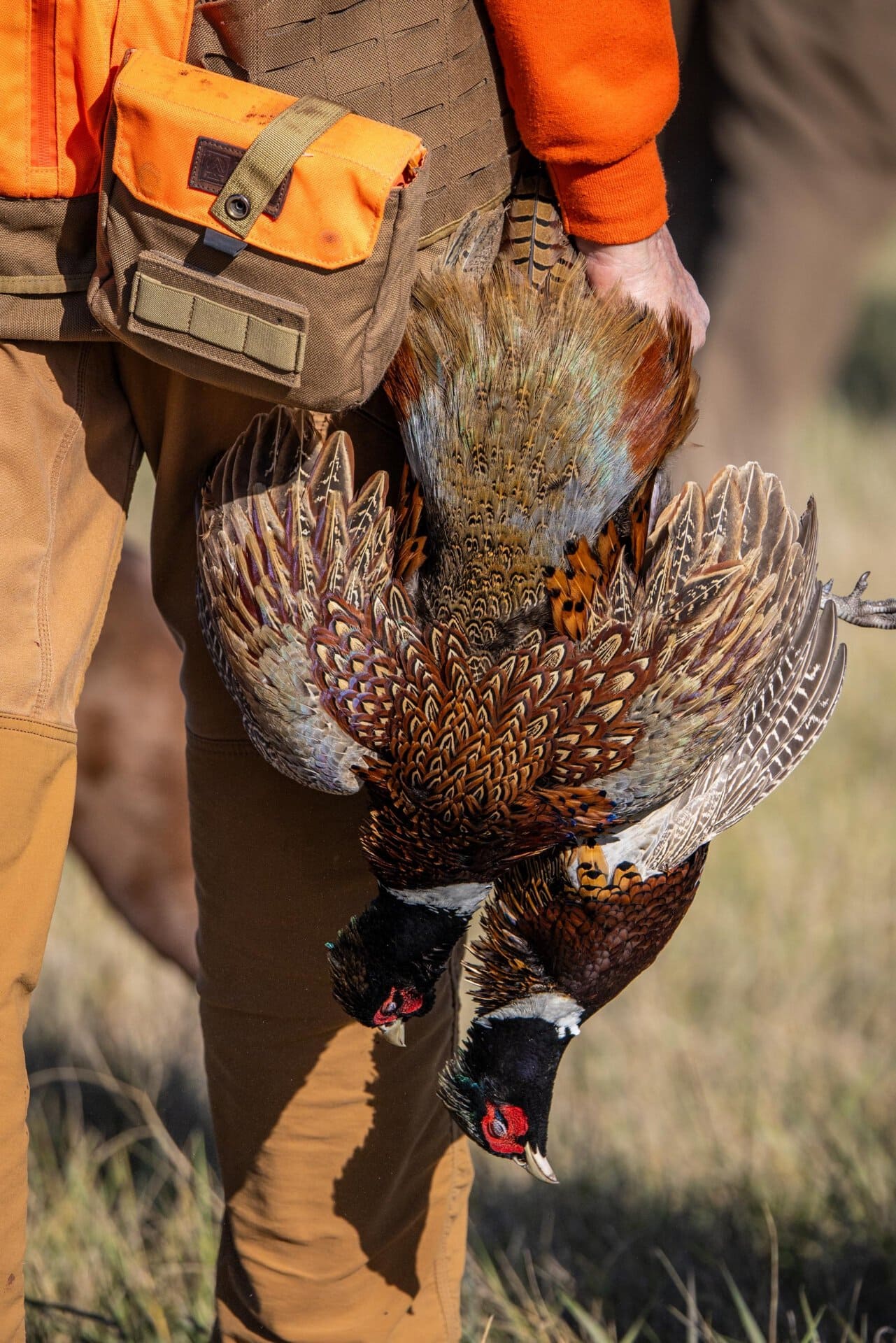 recreational hunting property south dakota paul nelson farm