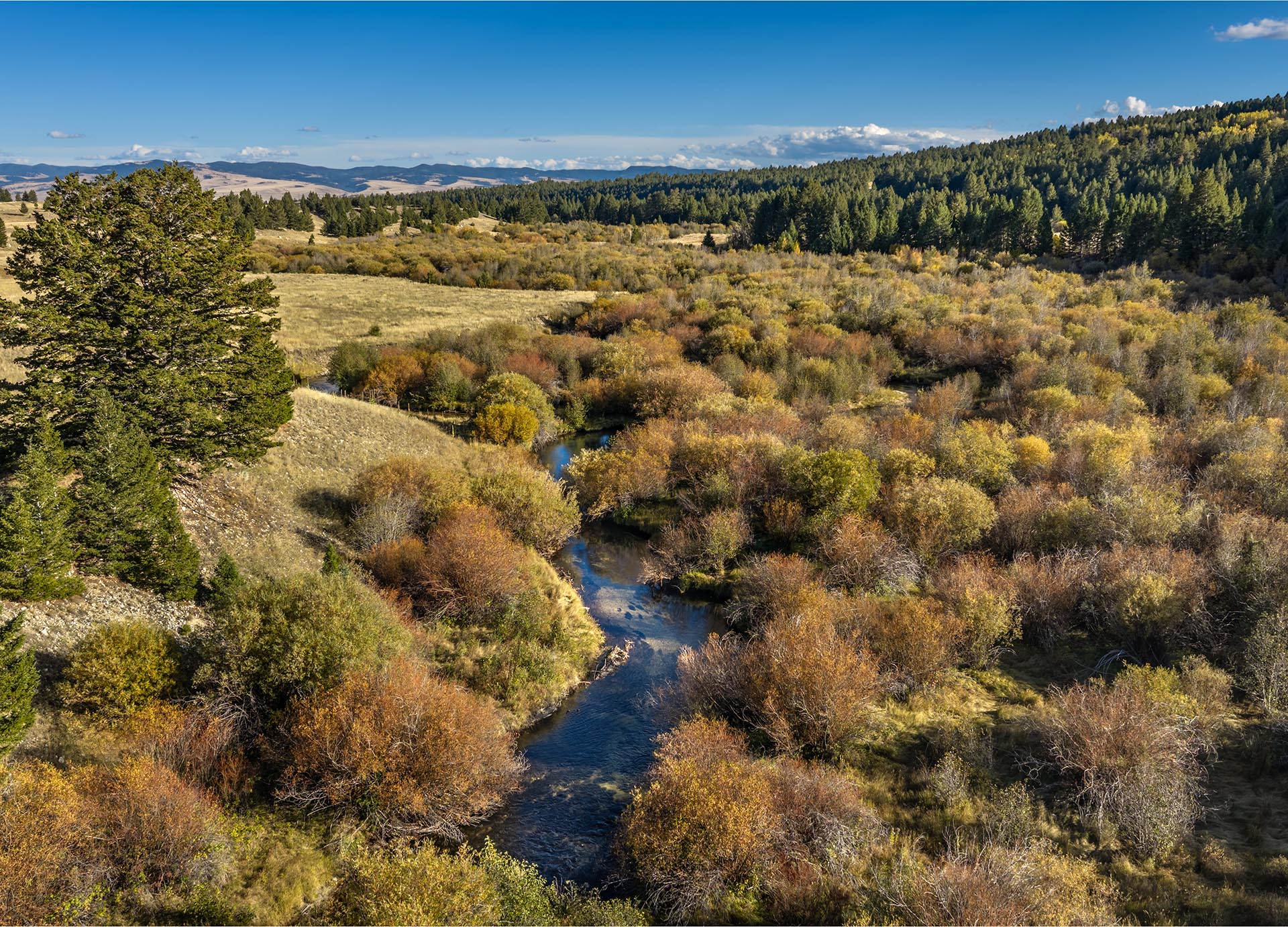 river frontage property for sale motnana dempsey lakes cattle ranch