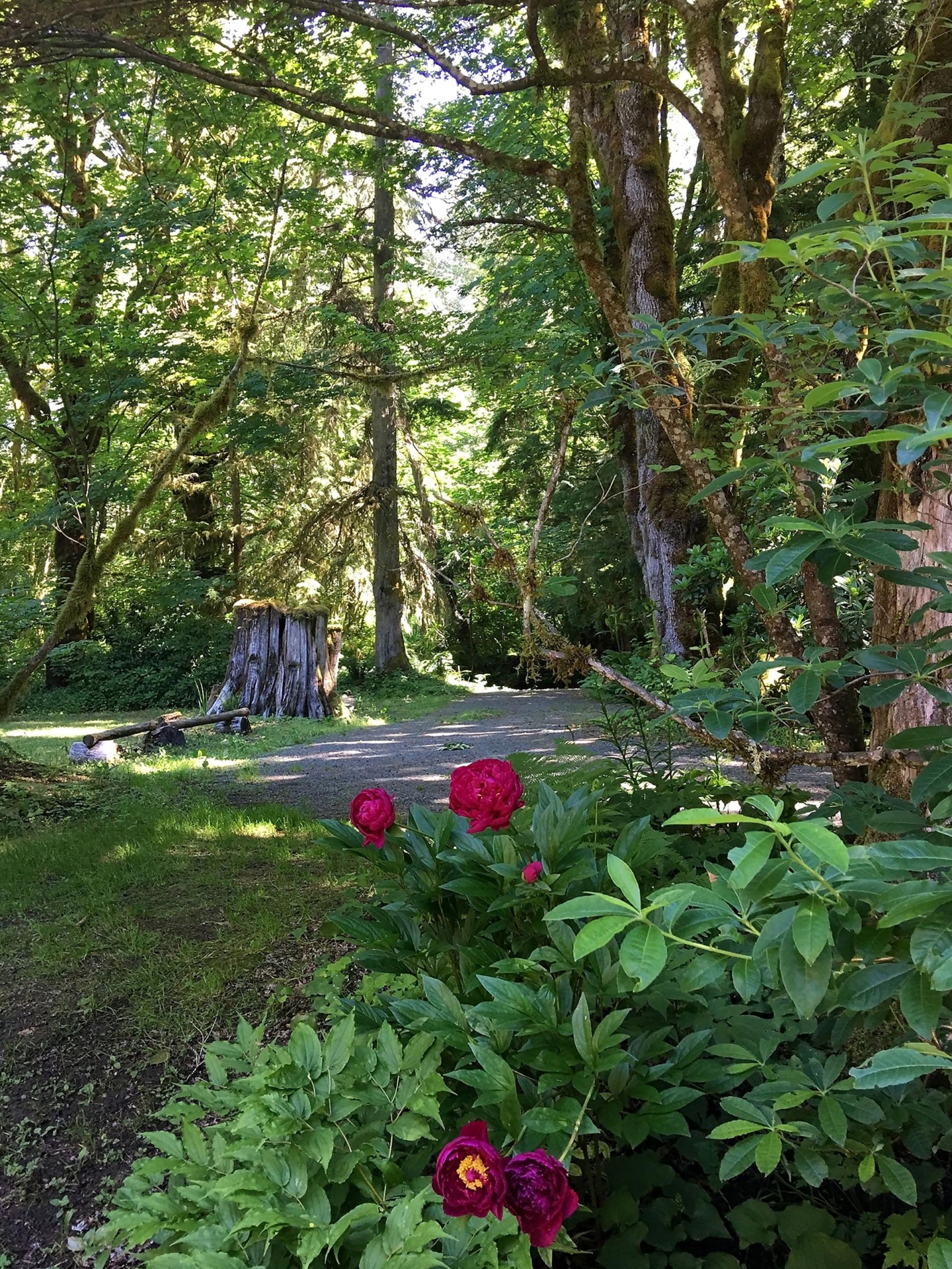 riverfront vacation home near seattle washington sky river lodge