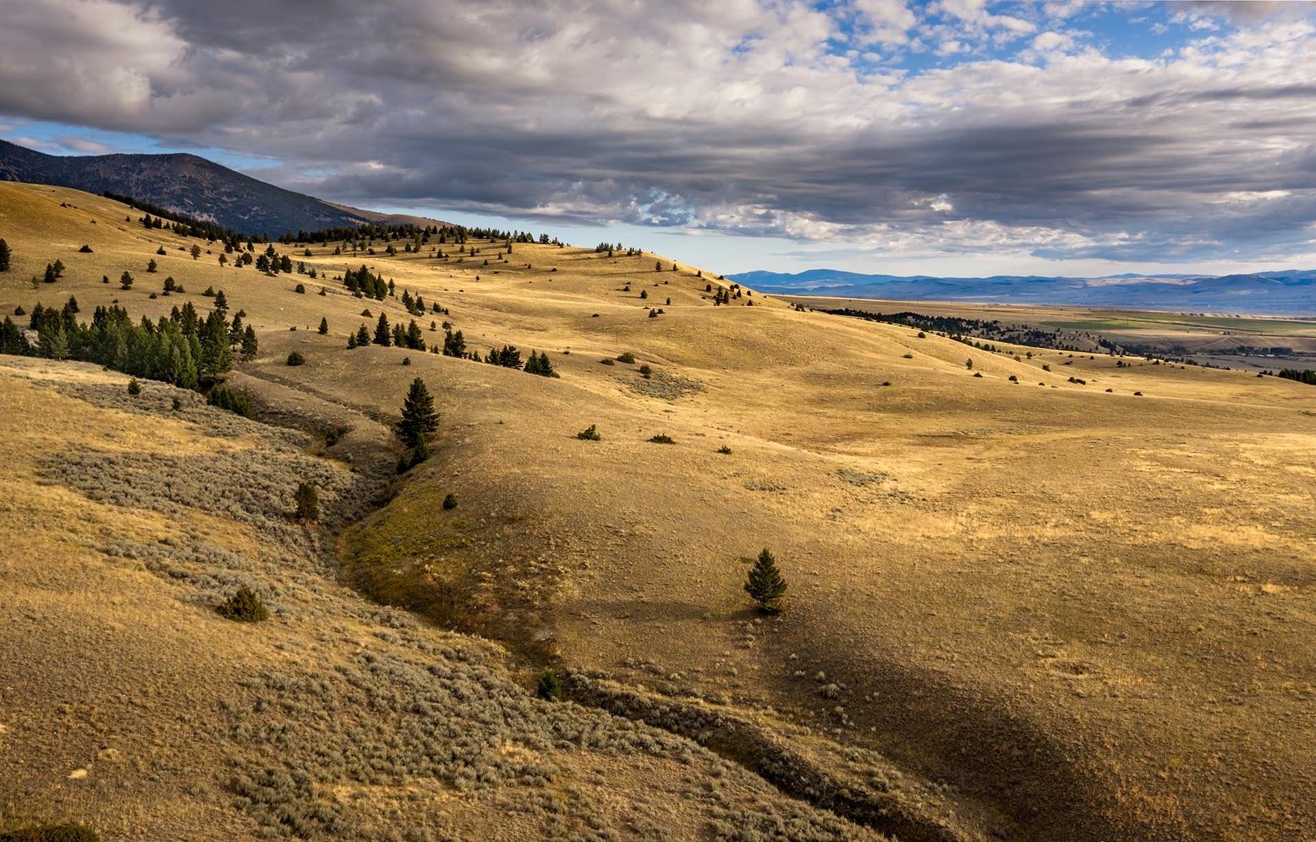 rolling hills with timber montana dempsey lakes cattle ranch