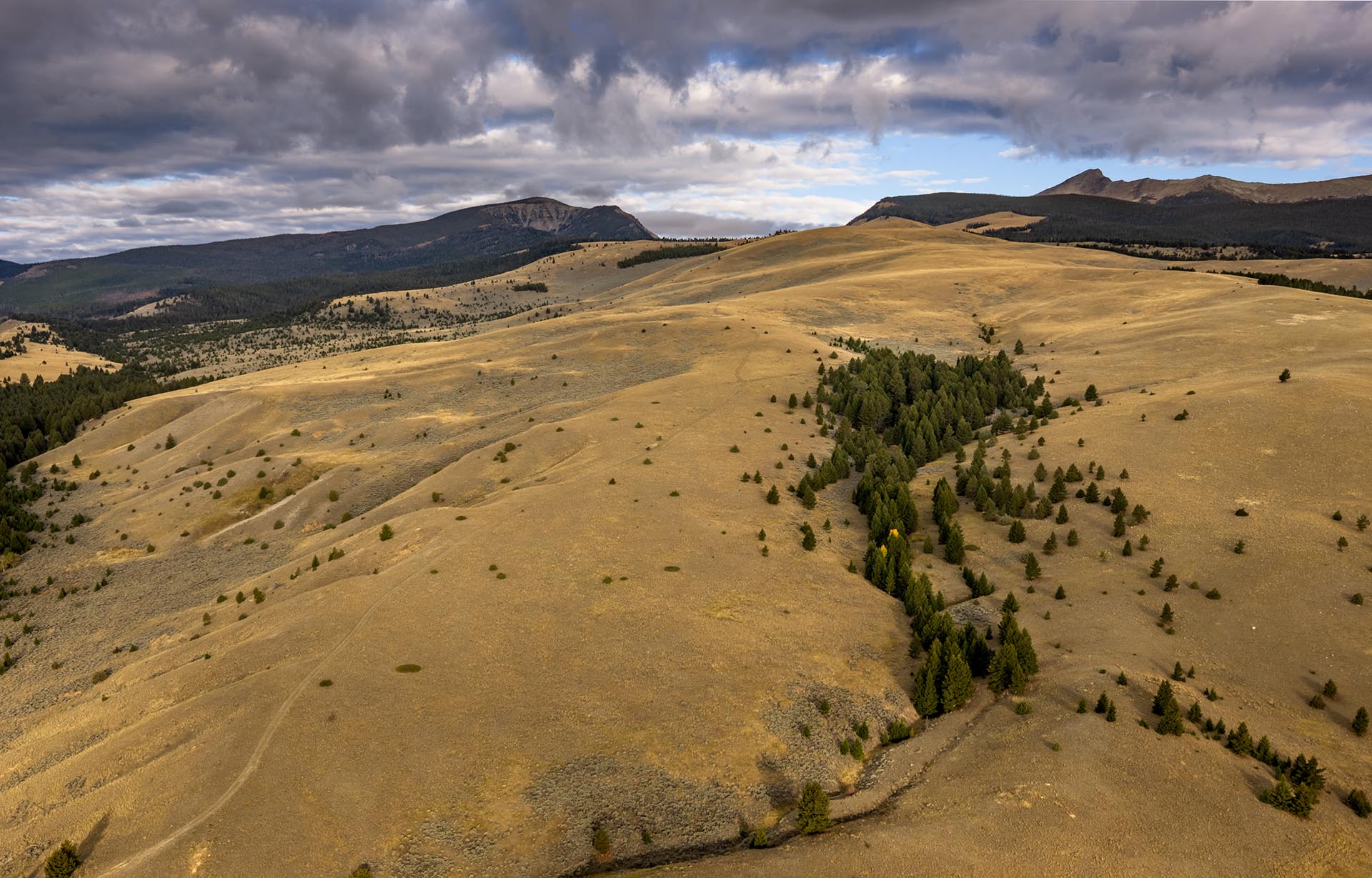 rolling hills open range land montana dempsey lakes cattle ranch