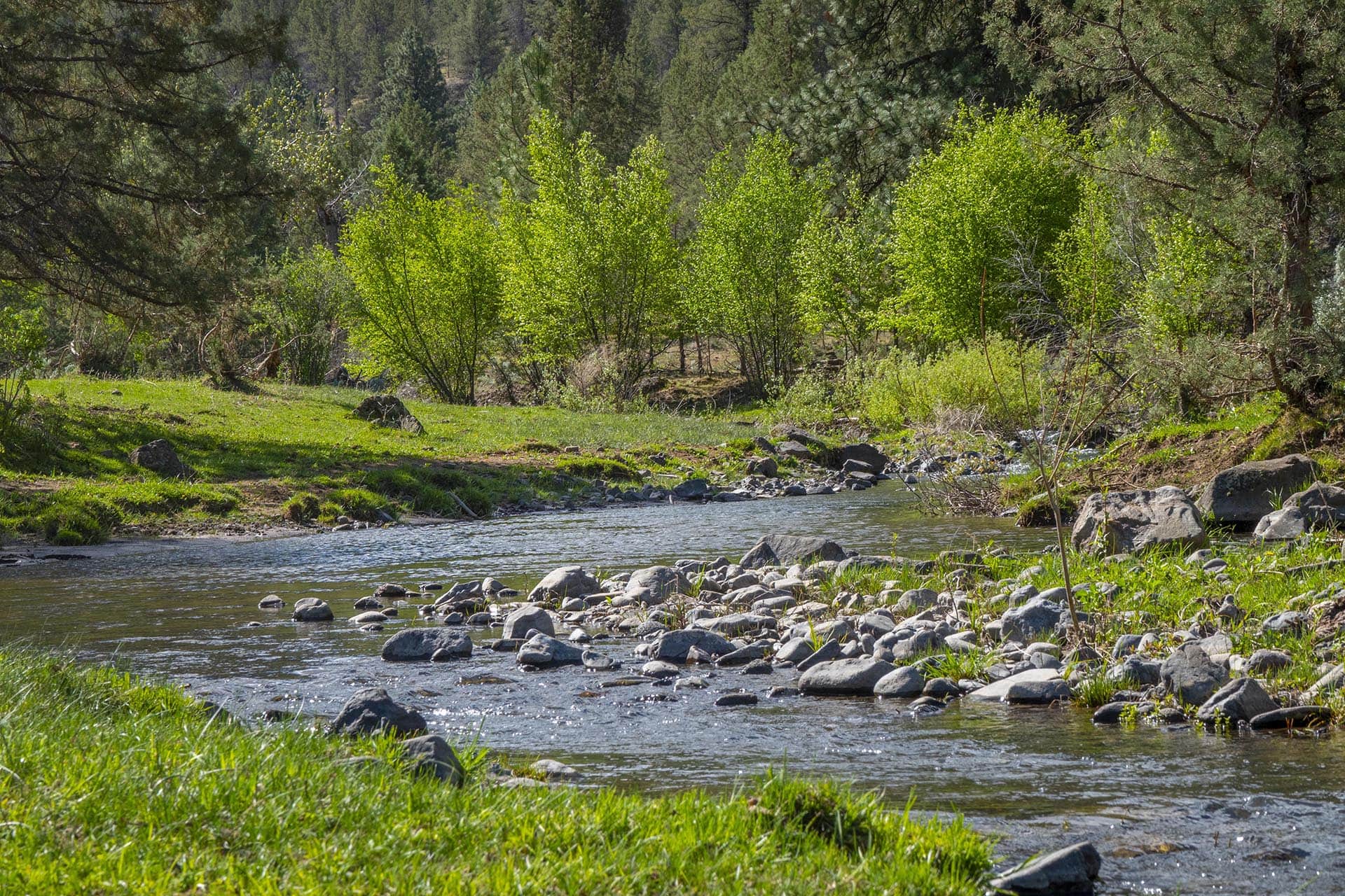 rudio creek oregon running spur hunting ranch
