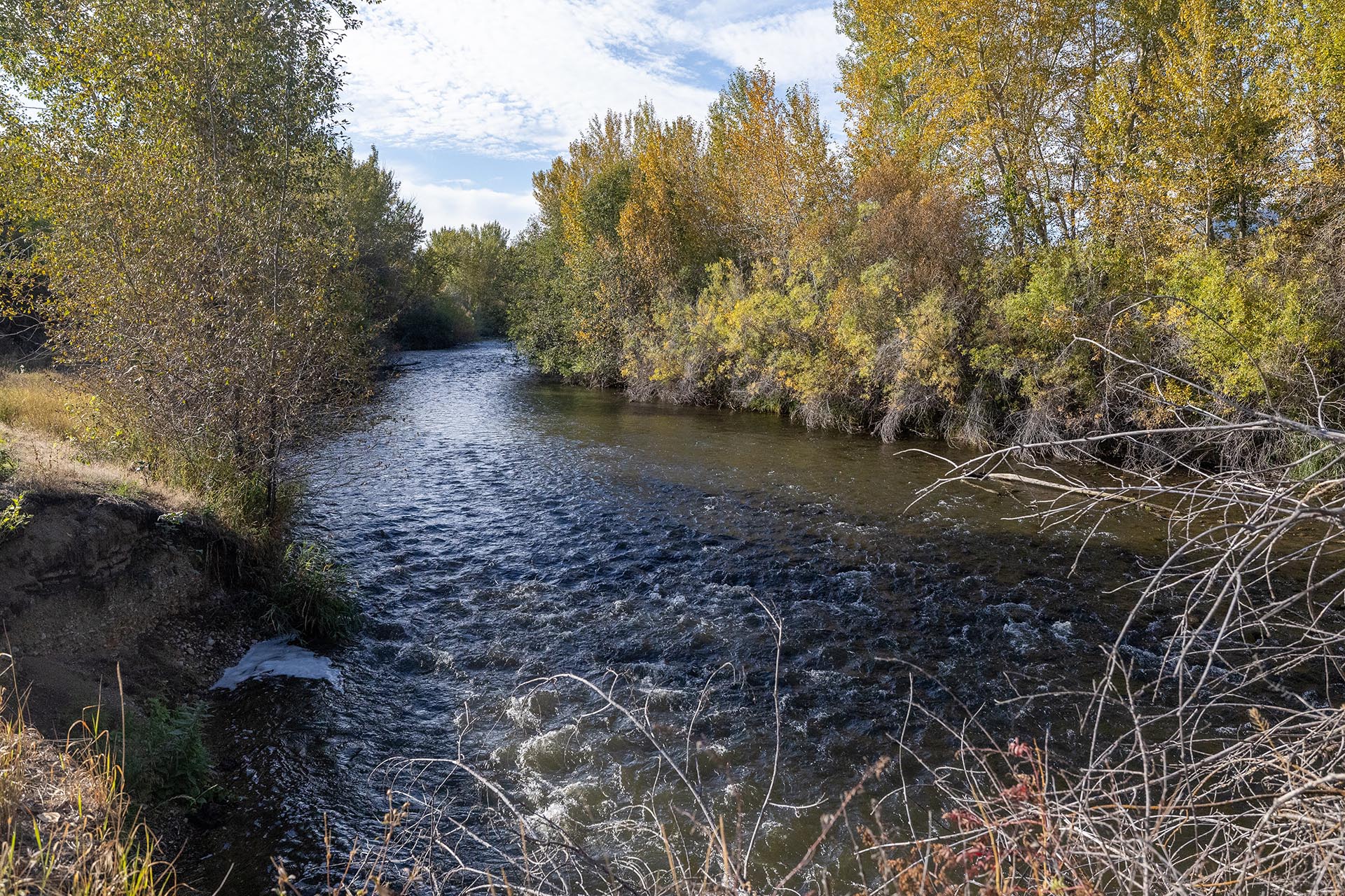 scenic river landscape idaho jackson corner ranch