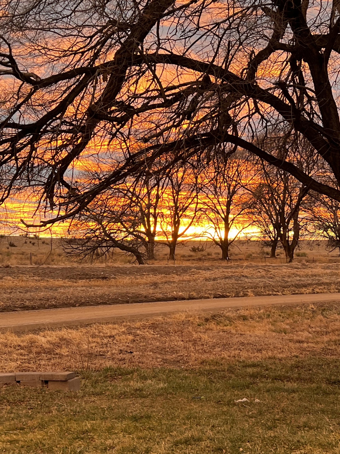 southern co property with water rights in colorado olson road farm