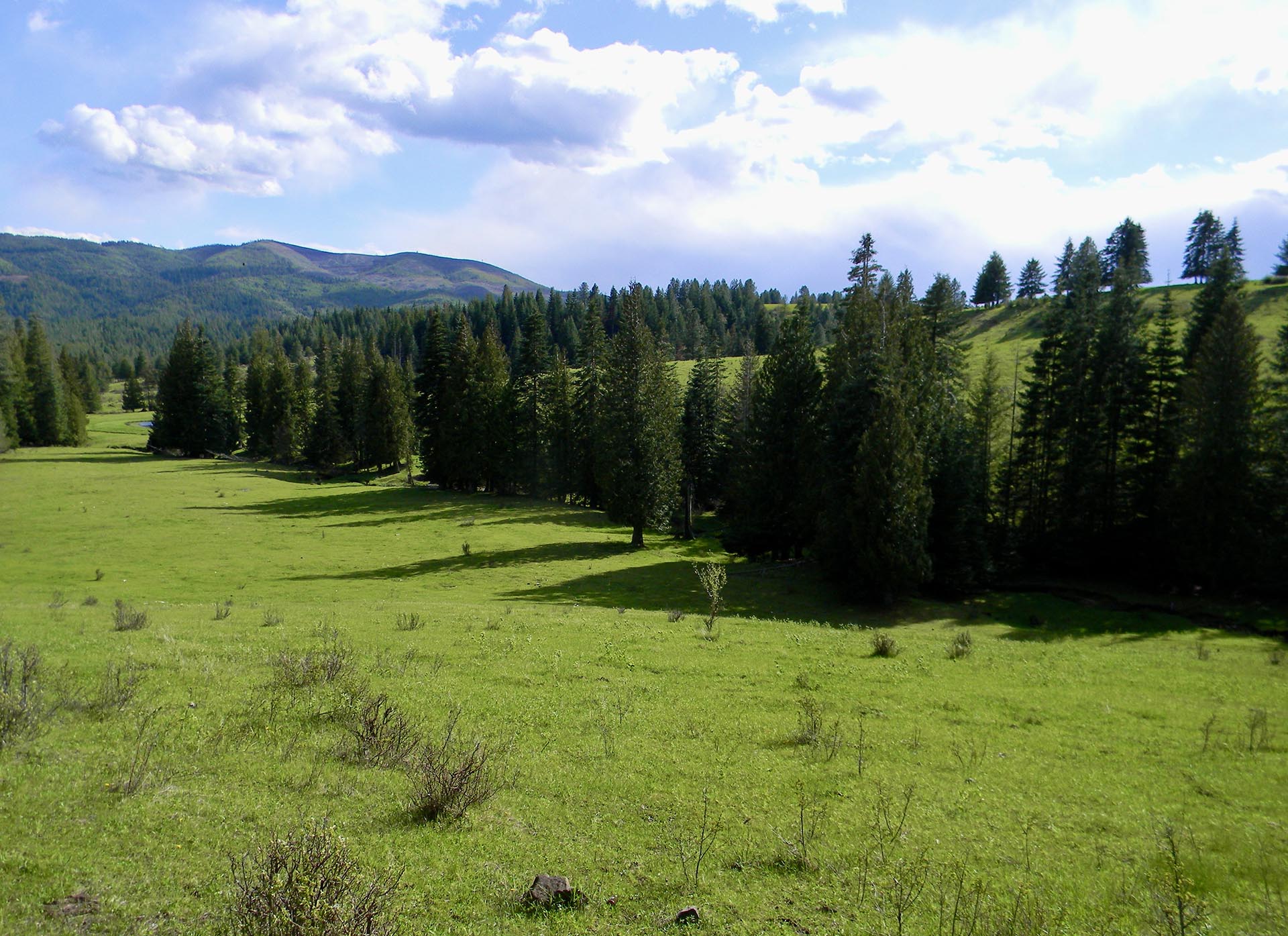 st. joe national forest idaho park ranch