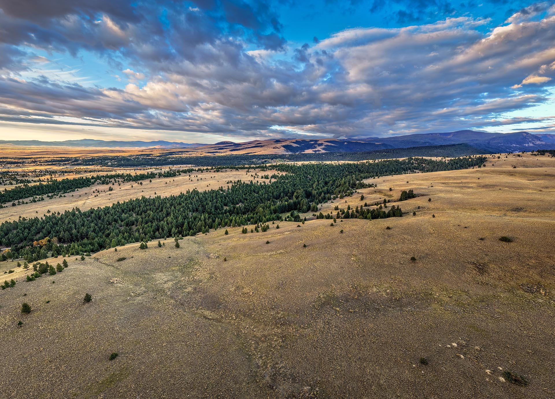 timbered land for sale montana dempsey lakes cattle ranch