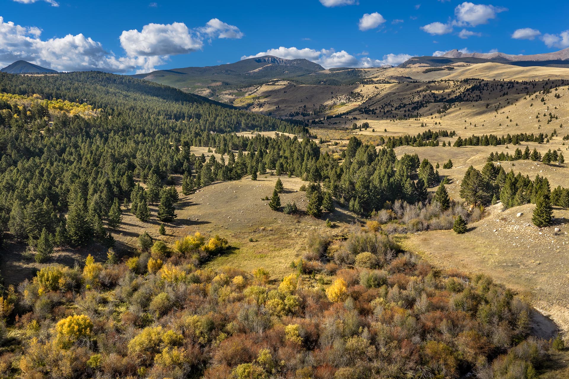 timbered mountain land for sale montana dempsey lakes cattle ranch
