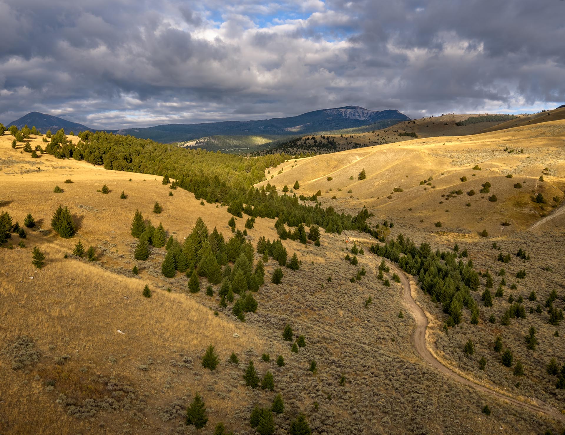 timbered valley property for sale montana dempsey lakes cattle ranch