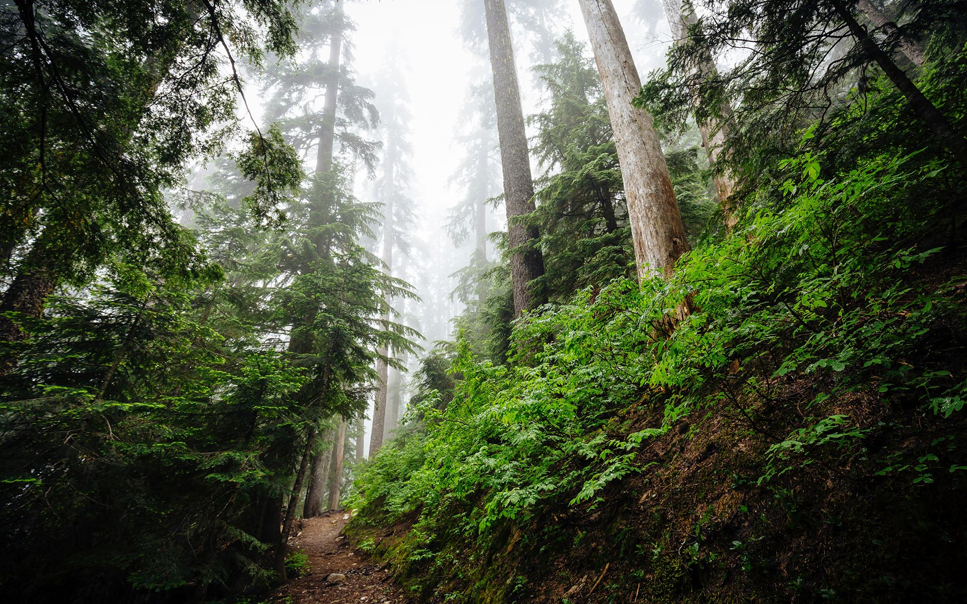 upper granite lake mountain scenery washington granite creek trail