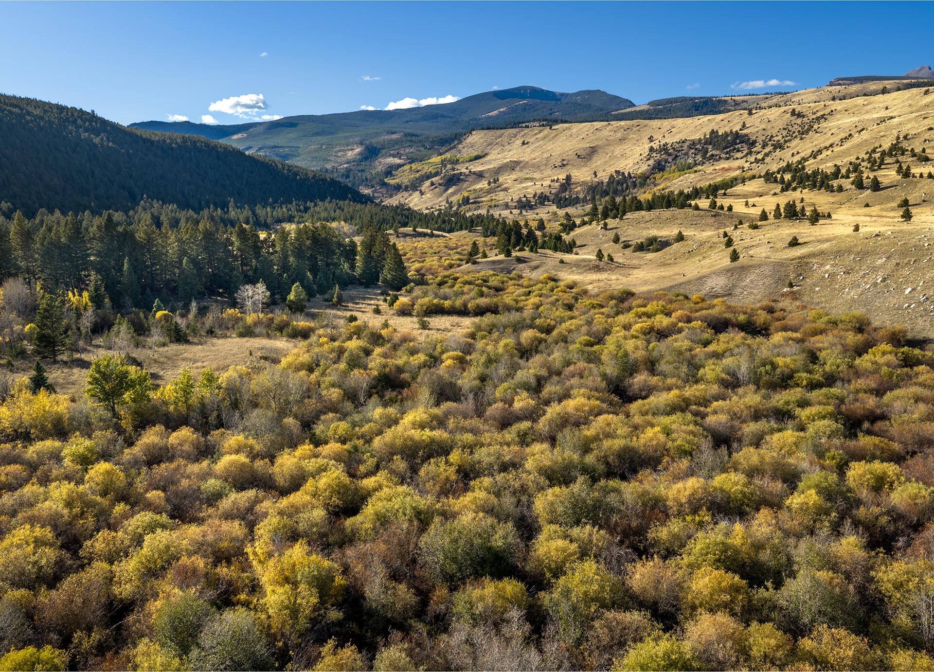 valley timbered land montana dempsey lakes cattle ranch