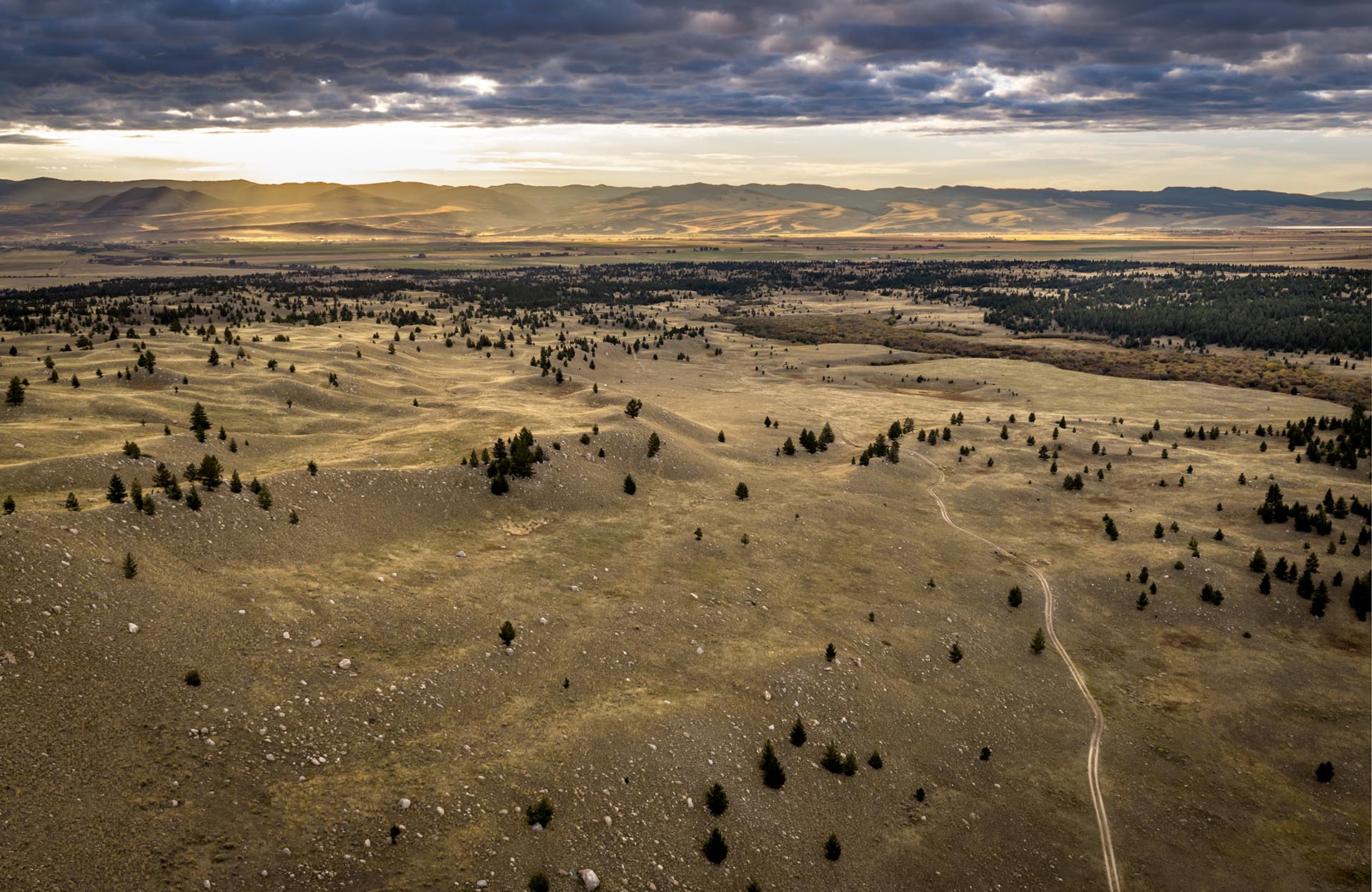 vast open land for sale montana dempsey lakes cattle ranch