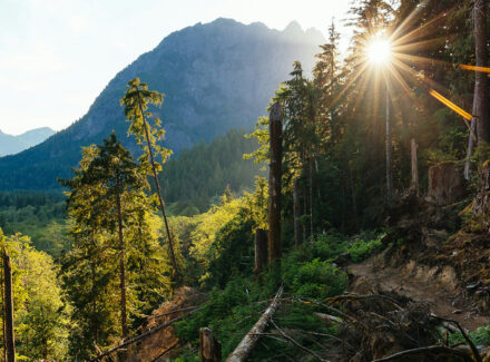 washington land for sale granite creek trail
