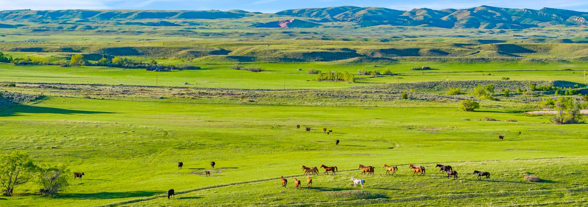 wyoming equestrian ranch for sale creek bend ranch
