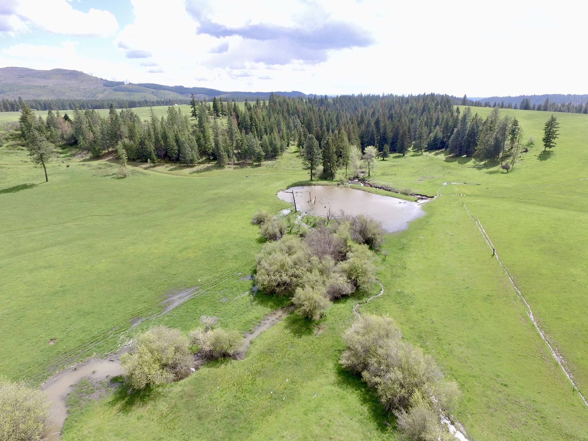 year round pond idaho park ranch
